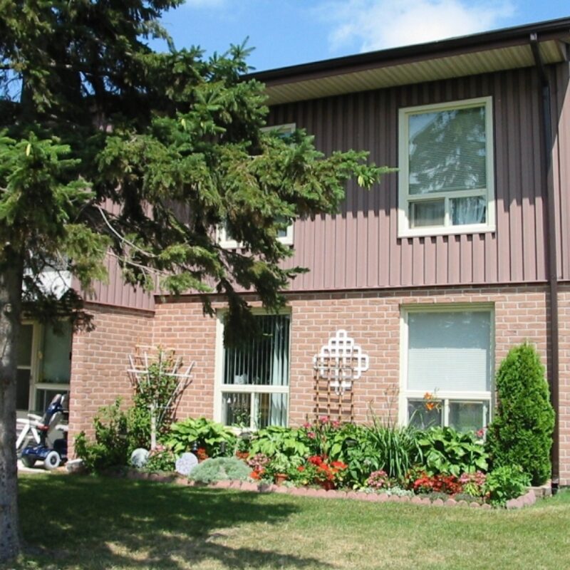 two story apartment unit with lush garden and mature pine tree